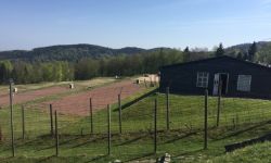 Visite Du Struthof  059